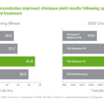 Understanding Reddy Anna ID: Benefits, Features, and How to Get Started